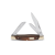 Woodgrain